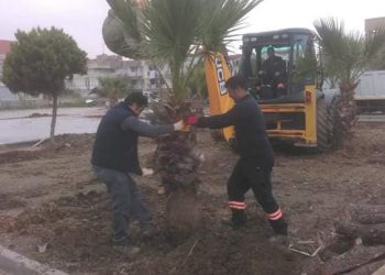 Çalışma Hayatına İlişkin Temel Rakamlar
